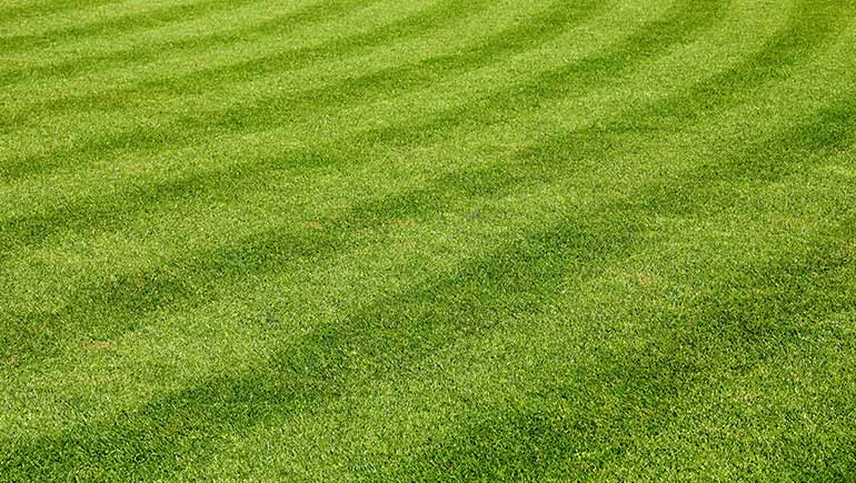 Mowing/Trimming/Landscape Work/Mulching
