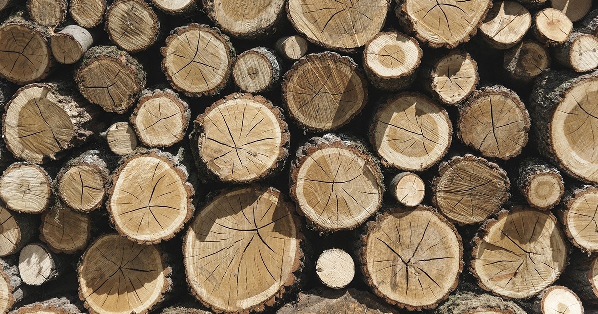 Wood Cutting and/or Selling